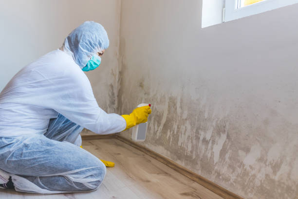 Licensed Crawl Space Mold Remediation service in North, VA - Mold Remediation HQ