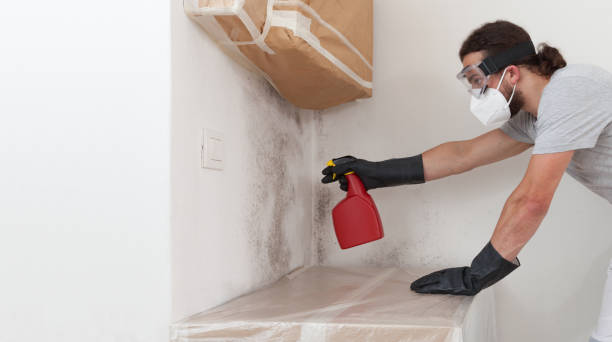 Professional Crawl Space Mold Remediation technician working in North, VA