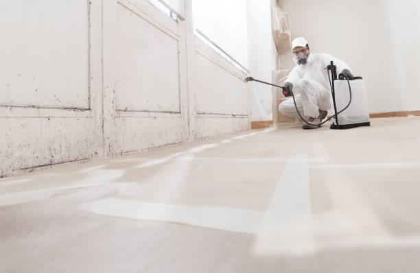 24/7 Emergency Crawl Space Mold Remediation experts in North, VA