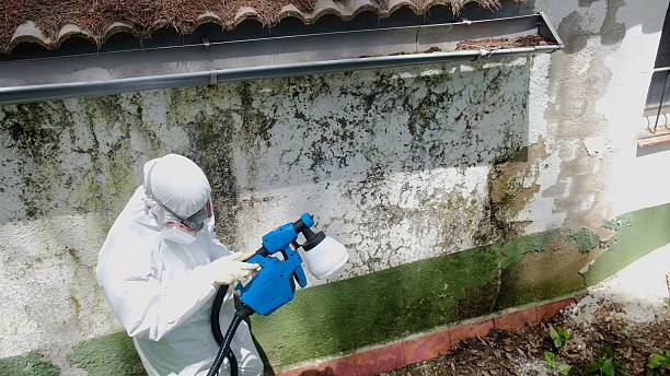 Top rated local Crawl Space Mold Remediation specialists in North, VA